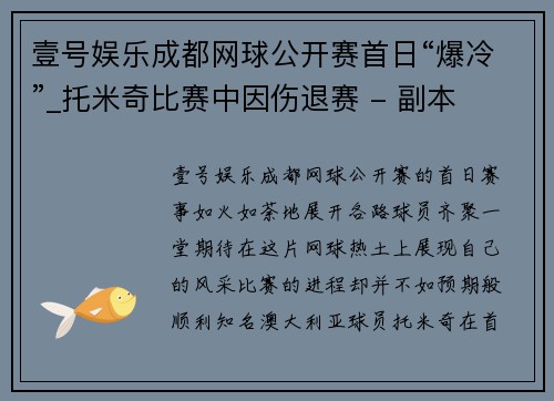 壹号娱乐成都网球公开赛首日“爆冷”_托米奇比赛中因伤退赛 - 副本